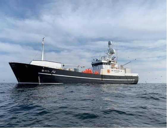 MS Koralen - Long Line Freezer Vessel