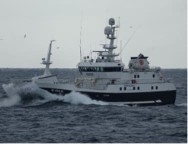 MS Koralhav - Long Line Freezer Vessel